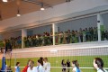 Międzyszkolny turniej piłki siatkowej_2016 (18)