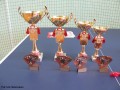 Międzyszkolny Turniej Piłki Siatkowej Dziewcząt_18.04.2013r. (80)